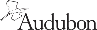 Audubon